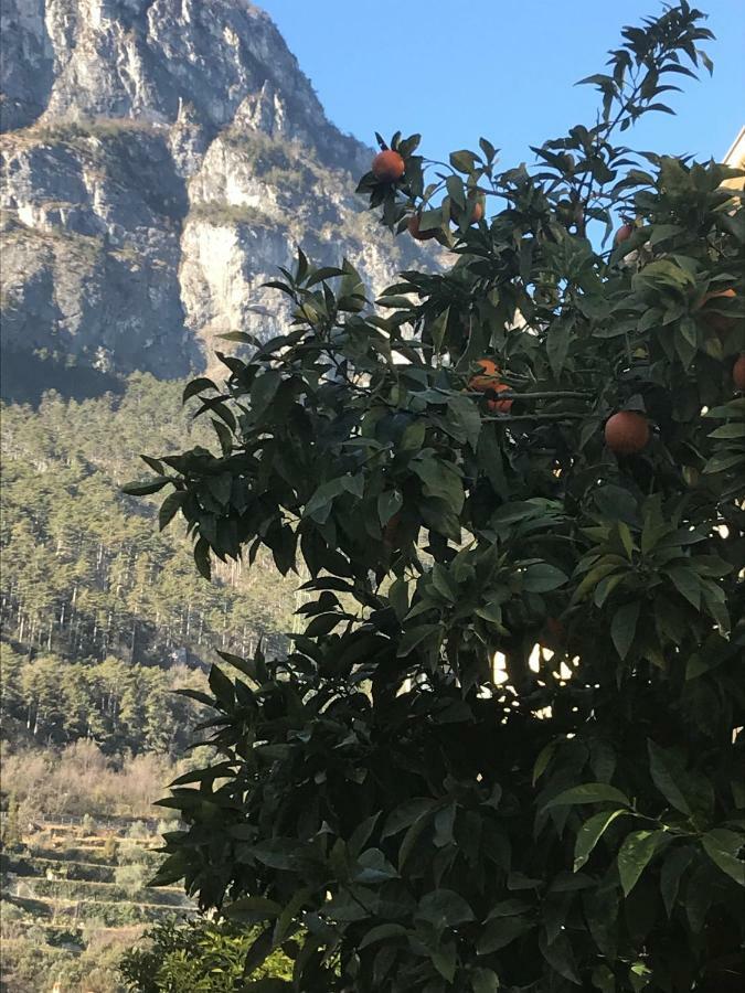 Casa Nika Lejlighed Riva del Garda Eksteriør billede